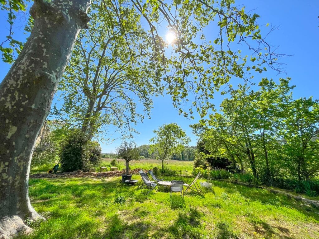 Jardin partagé à l'ombre des platanes