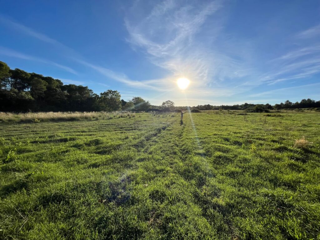 Terres et forêt