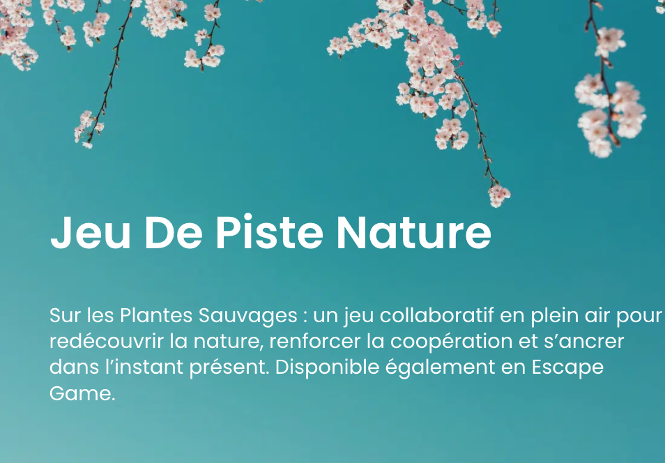 Team Building Jeu de piste Nature