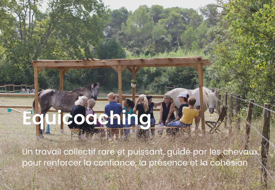 resized_Capture d’écran 2025-11-14 à 17.22.14