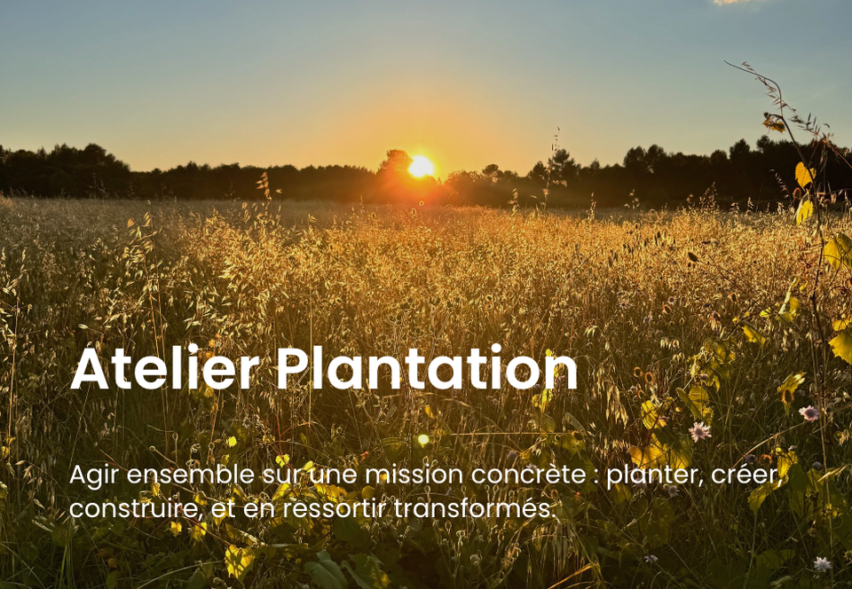 resized_Capture d’écran 2025-11-14 à 17.22.31