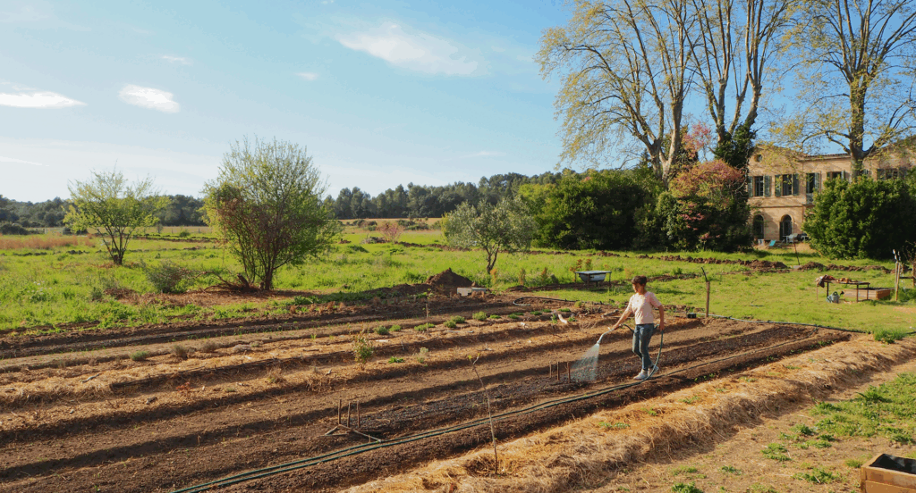 Repas bio et cuisine locale – menu circuit court pour team building près de Montpellier