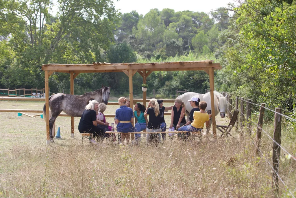 Expérience régénérative – team building nature à Montpellier à l’Oasis Fontmarie
