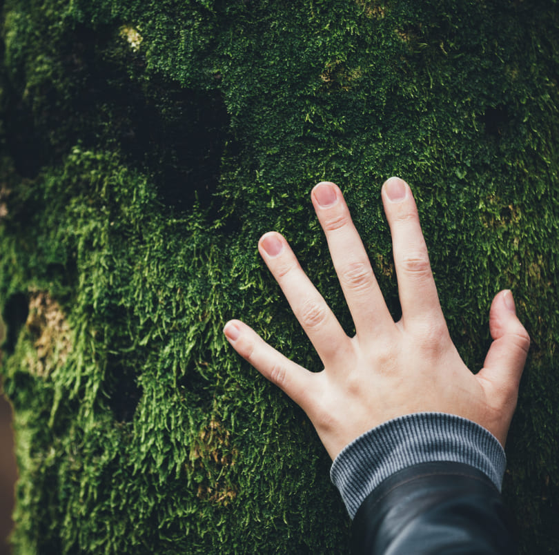 Formats sur-mesure de team building à Montpellier – demi-journée, journée ou séminaire résidentiel à l’Oasis Fontmarie