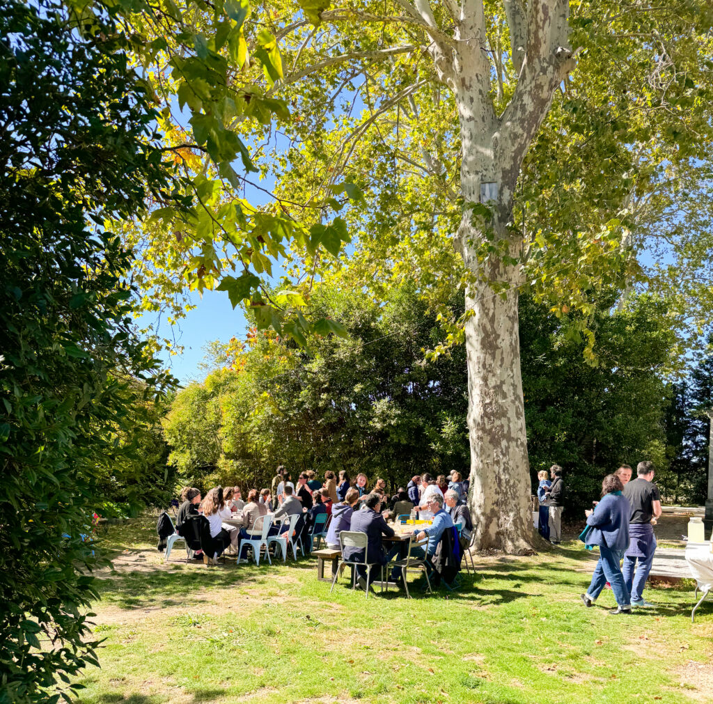 Activité team building en pleine nature à Montpellier – Oasis Fontmarie