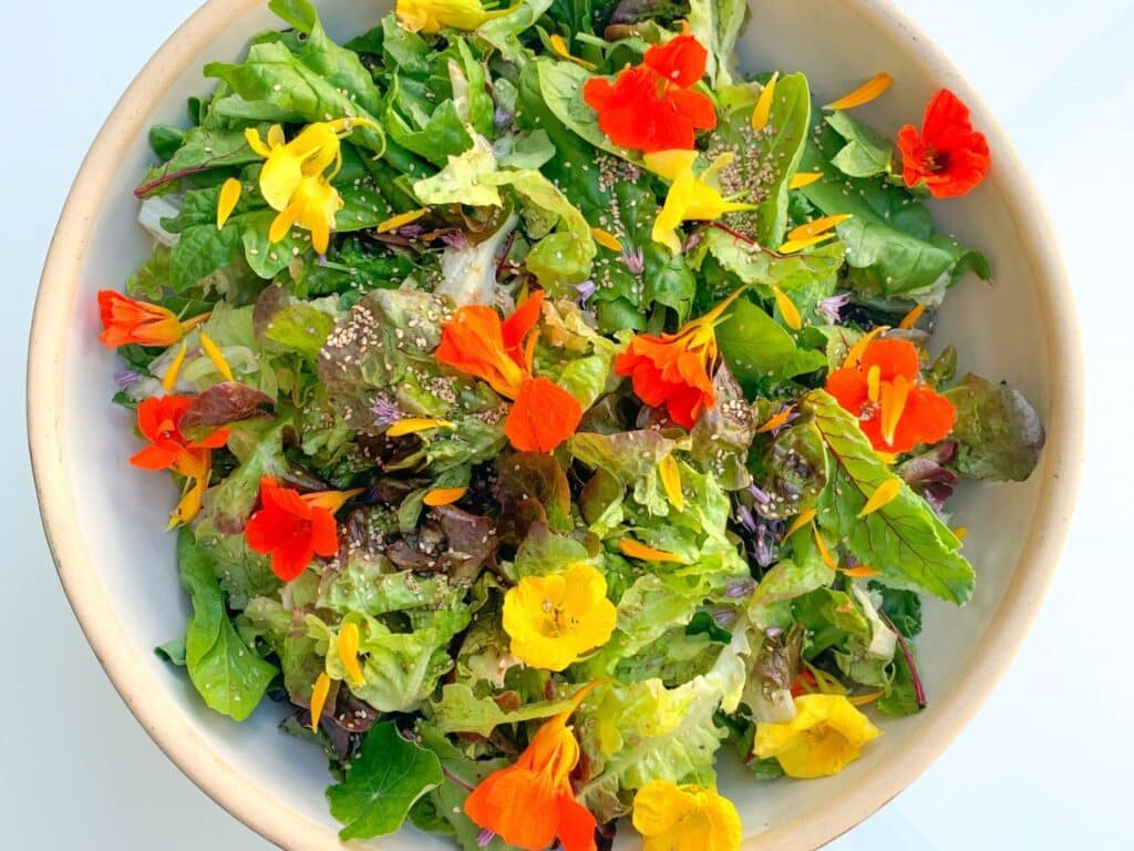 Repas bio et locaux pour séminaire à Montpellier – cuisine de saison préparée à l’Oasis Fontmarie
