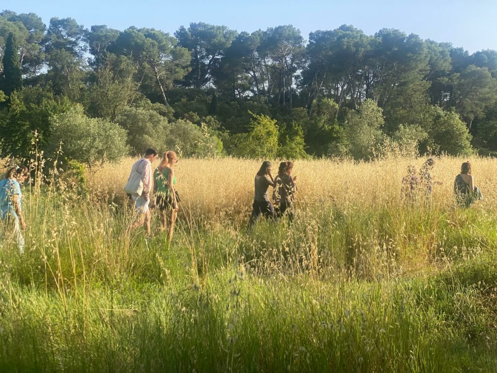 Team building nature près de Montpellier