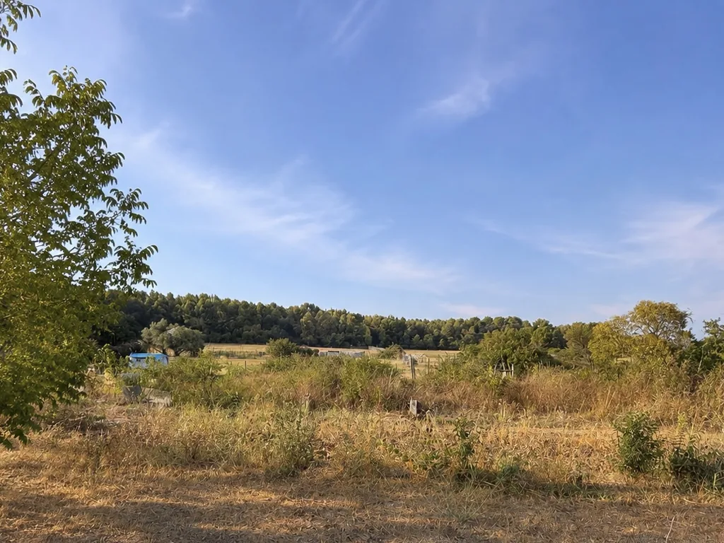 Vue sur les jardins et la nature autour de la tiny house