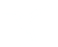 colibri Colibri