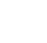 illu_branches_blanc Illustration branches