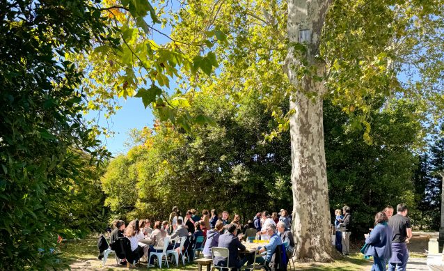 Activité team building en pleine nature à Montpellier – Oasis Fontmarie